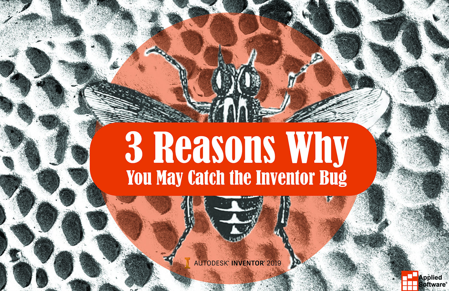 3个原因你可能赶上发明者Bug
