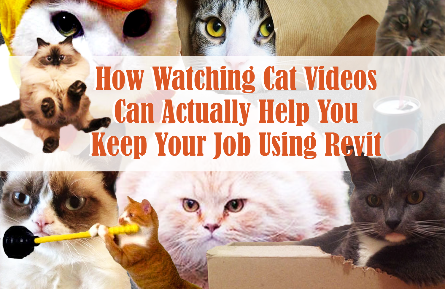 如何使用Revit保住你的工作(通过观察猫的视频)