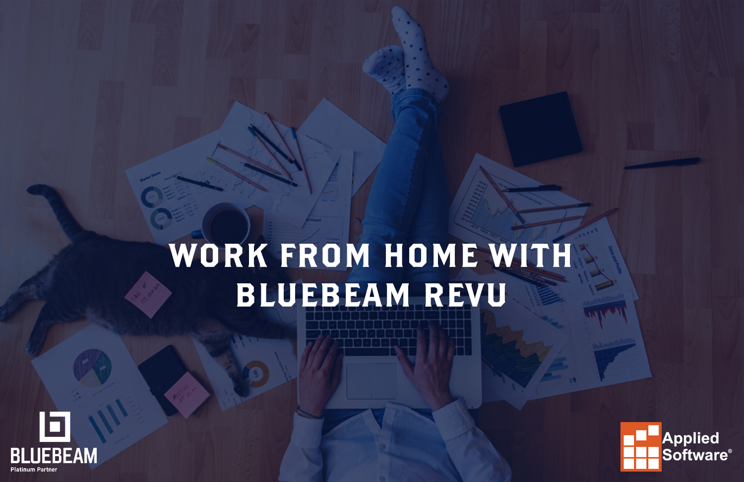 与Bluebeam Revu在家工作