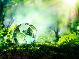 水晶球包含地球的大陆,背景光着树木,可持续发展的趋势