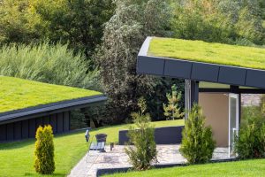 地球庇护的房子,有倾斜的绿色屋顶和混凝土露台