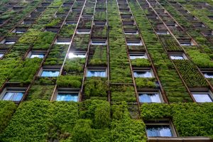 绿色建筑,公寓被绿色植物覆盖,绿色建筑的趋势