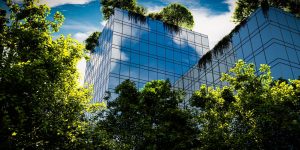 twelve-story反映办公大楼与树木在前景和屋顶